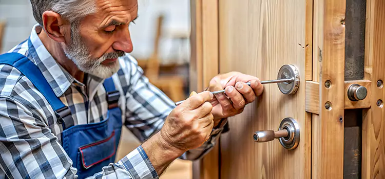 Mortise Replacement Lock Gadsden